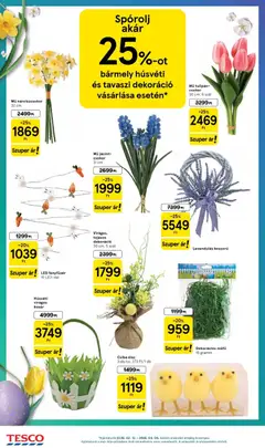 Tesco Hipermarket - Aktuális akciós újság - amely érvényes a következő dátumtól: 26.02.2026 | Oldal: 24 | Termékek: Műfű, Tulipán, Dekoráció, Koszorú