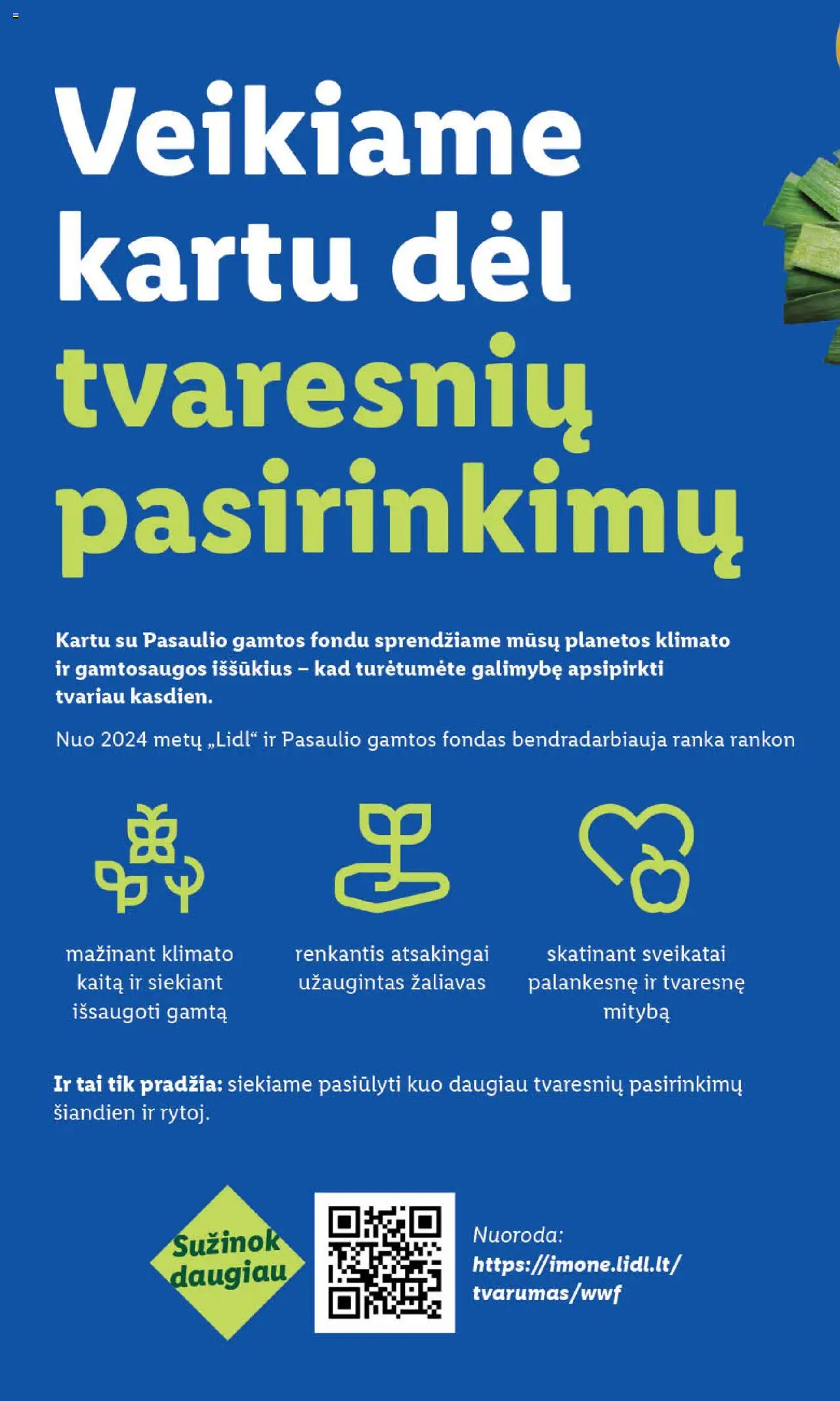 LIDL - Leidinys│galioja nuo 11.08.2025 | Puslapis: 40