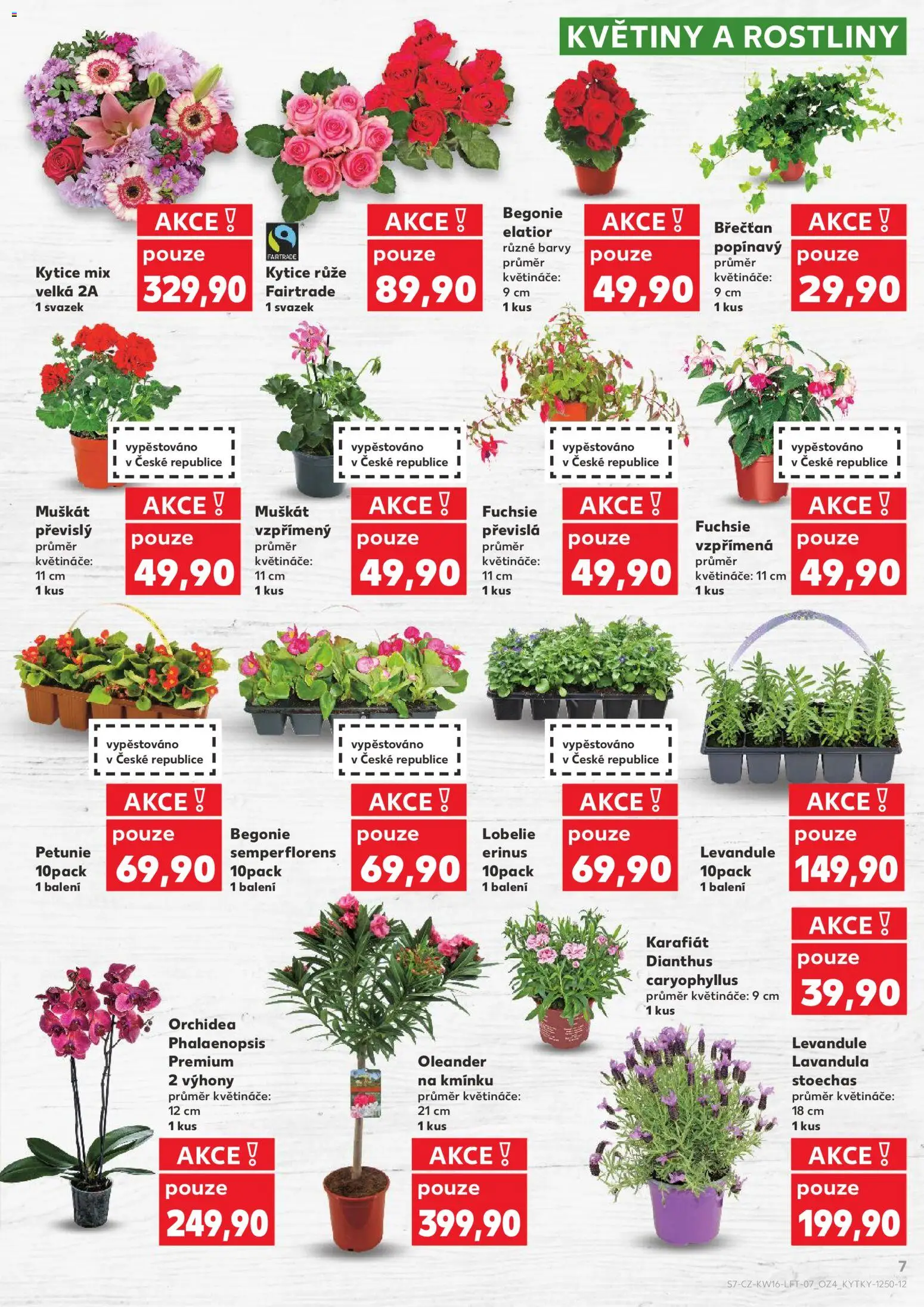 Kaufland leták - Kolín od 15.04.2026 | Strana: 7 | Produkty: Rostliny, Kytice, Květiny, Barvy