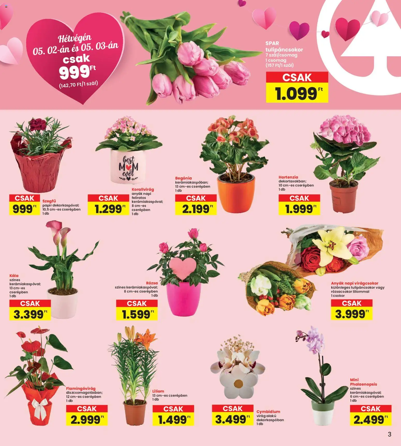 Interspar akciós ujság - amely érvényes a következő dátumtól: 30.04.2026 | Oldal: 3 | Termékek: Hortenzia, Virag