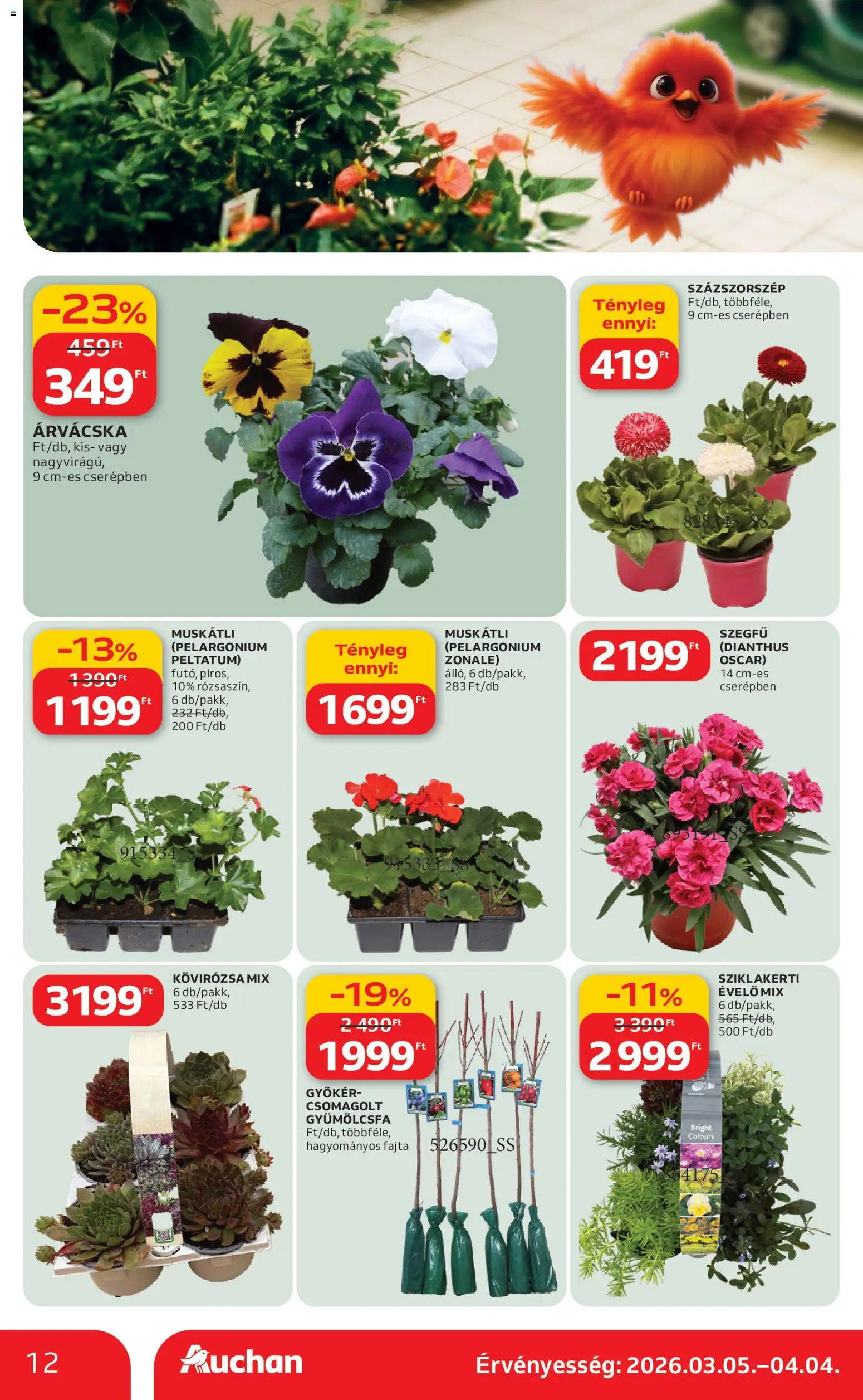 Auchan akciós ujság - amely érvényes a következő dátumtól: 05.03.2026 | Oldal: 12 | Termékek: Árvácska