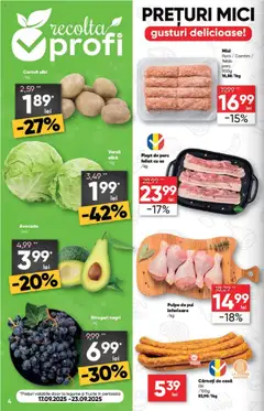 Noul catalog Profi – valabil de la 17.09.2025 | Pagină: 4