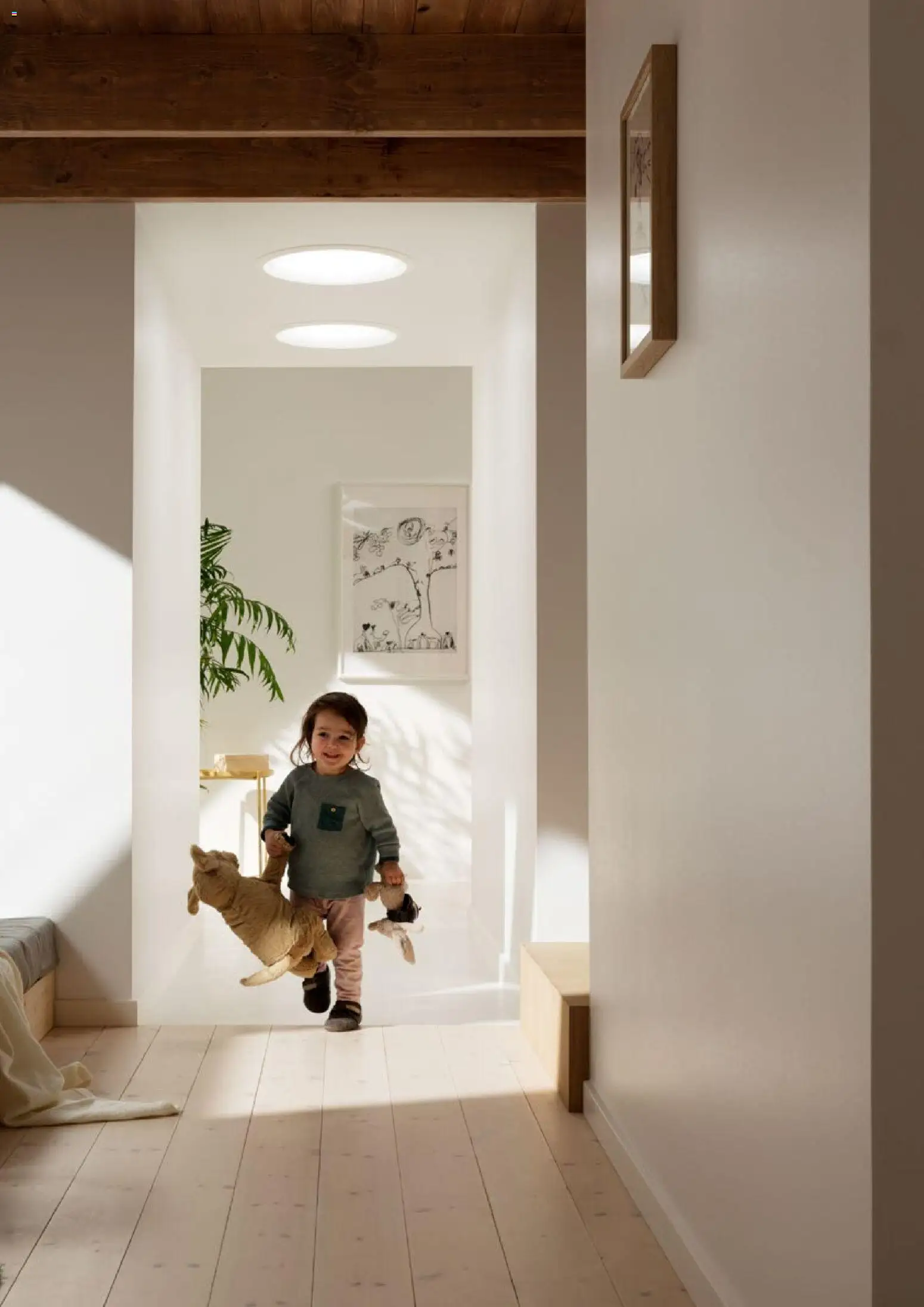 Noul catalog Velux – valabil de la 03.02.2026 | Pagină: 10