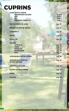 Ofertele Selgros valabile de la 17.04.2026 | Pagină: 2 | Produse: Bere, Condimente, Fructe, Fructe De Mare