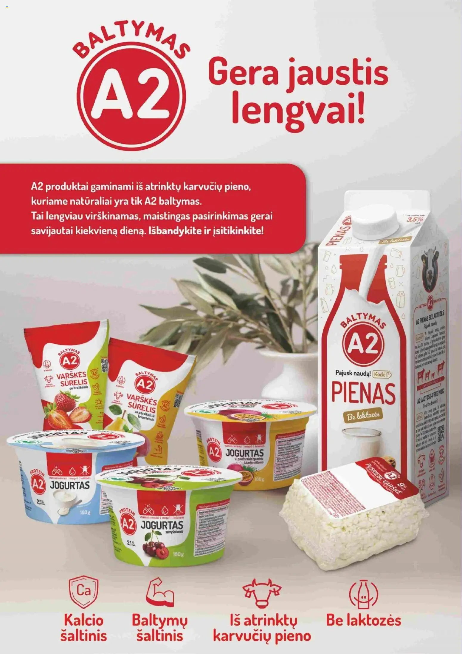 Koops akcijos nuo 09.03.2026 | Puslapis: 8 | Prekių: Sūrelis, Pienas, Jogurtas, Varškė