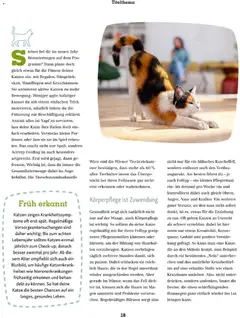 Fressnapf Friends 01/26 ab 01.01.2026 gültig | Seite: 18 | Produkte: Spiel