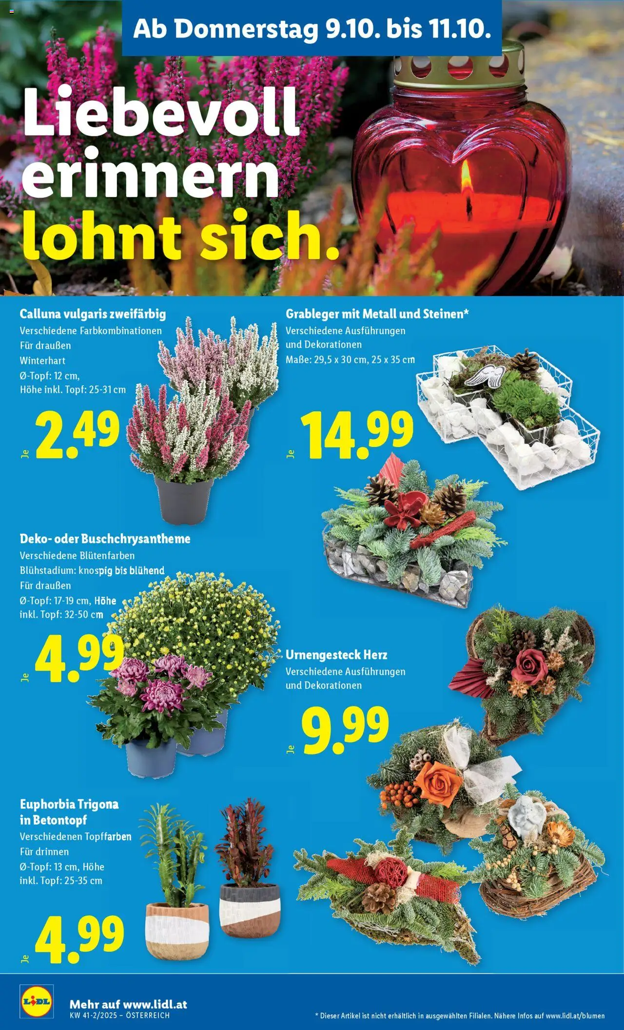 Lidl Flugblatt -  gültig ab 09.10.2025 | Seite: 28
