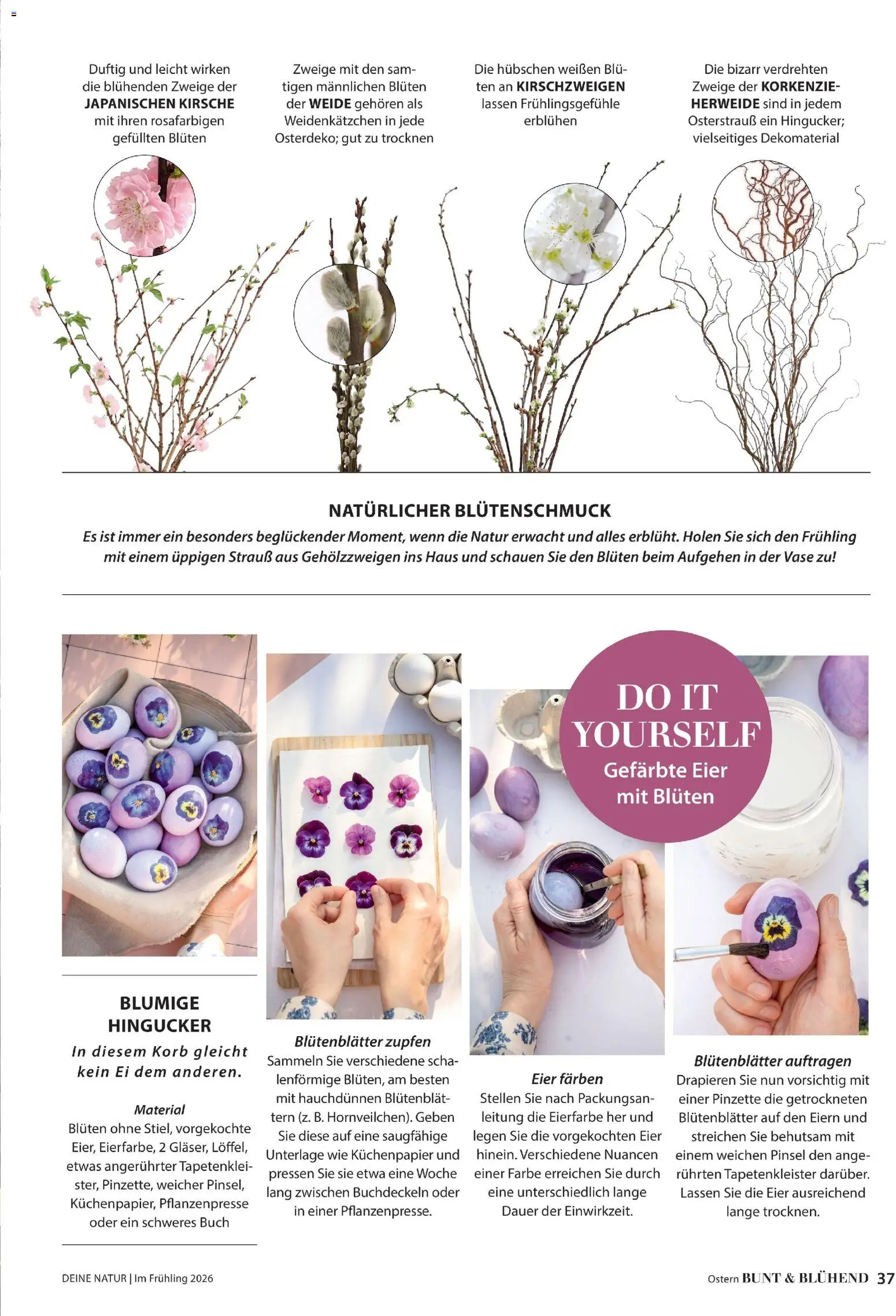Dehner Flugblatt gültig ab 05.03.2026 | Seite: 37 | Produkte: Korb, Vase, Pinsel, Eier