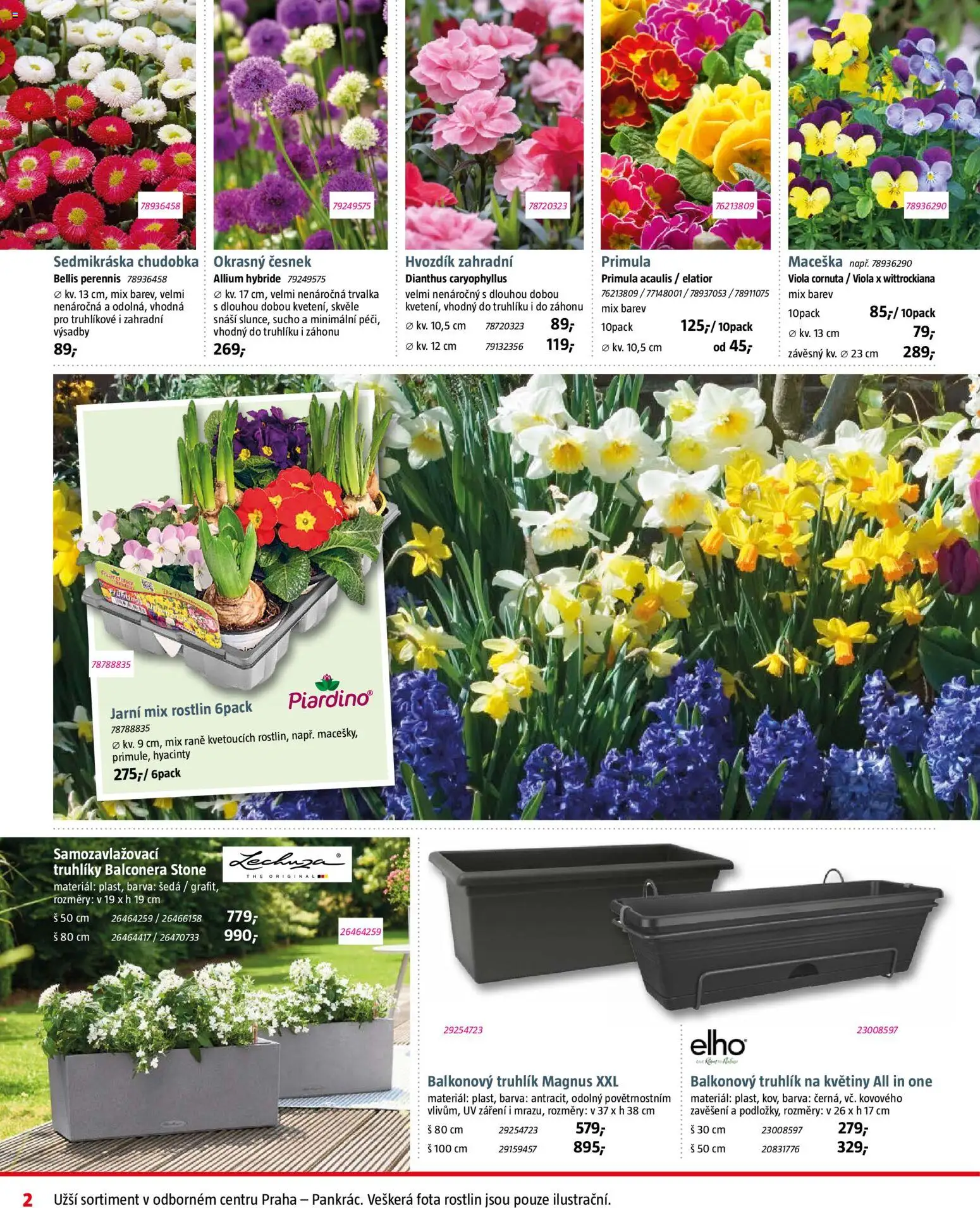 Bauhaus leták od 06.03.2026 | Strana: 2 | Produkty: Truhlík, Truhlíky, Květiny, Česnek