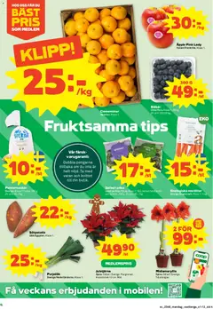 Coop Forum - erbjudanden - Förhandsvisning av reklamblad från butik Coop Forum aktuell från 24.11.2025 | Sida: 4 | Produkter: Spenat, Äpple, Sötpotatis, Sallad