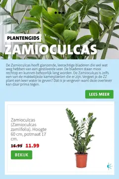  | Pagina: 3 | Producten: Kan, Kamerplanten, Festék
