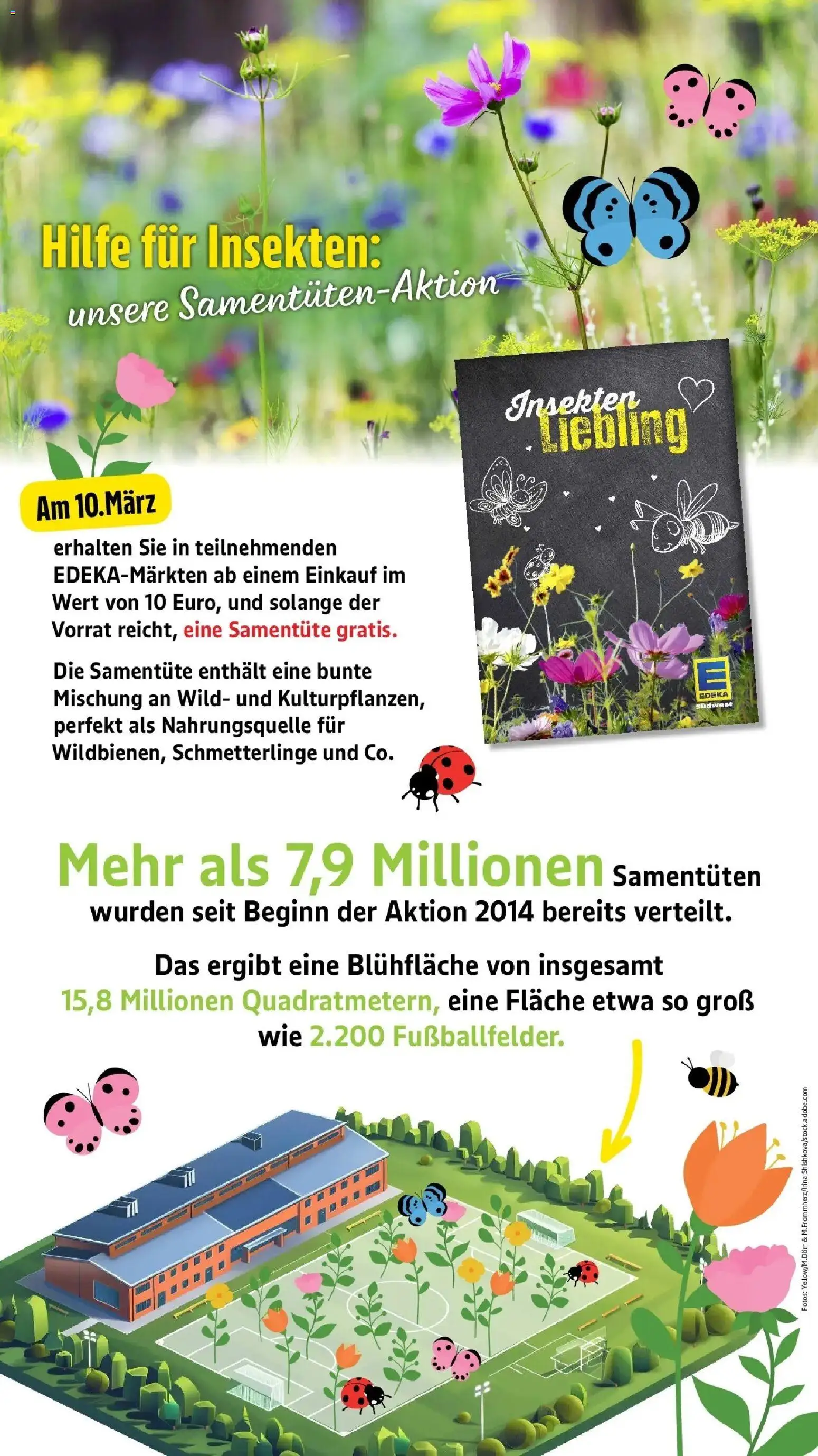 Edeka prospekt Nonnenhorn / Bodensee	 – gültig ab 09.03.2026 | Seite: 6