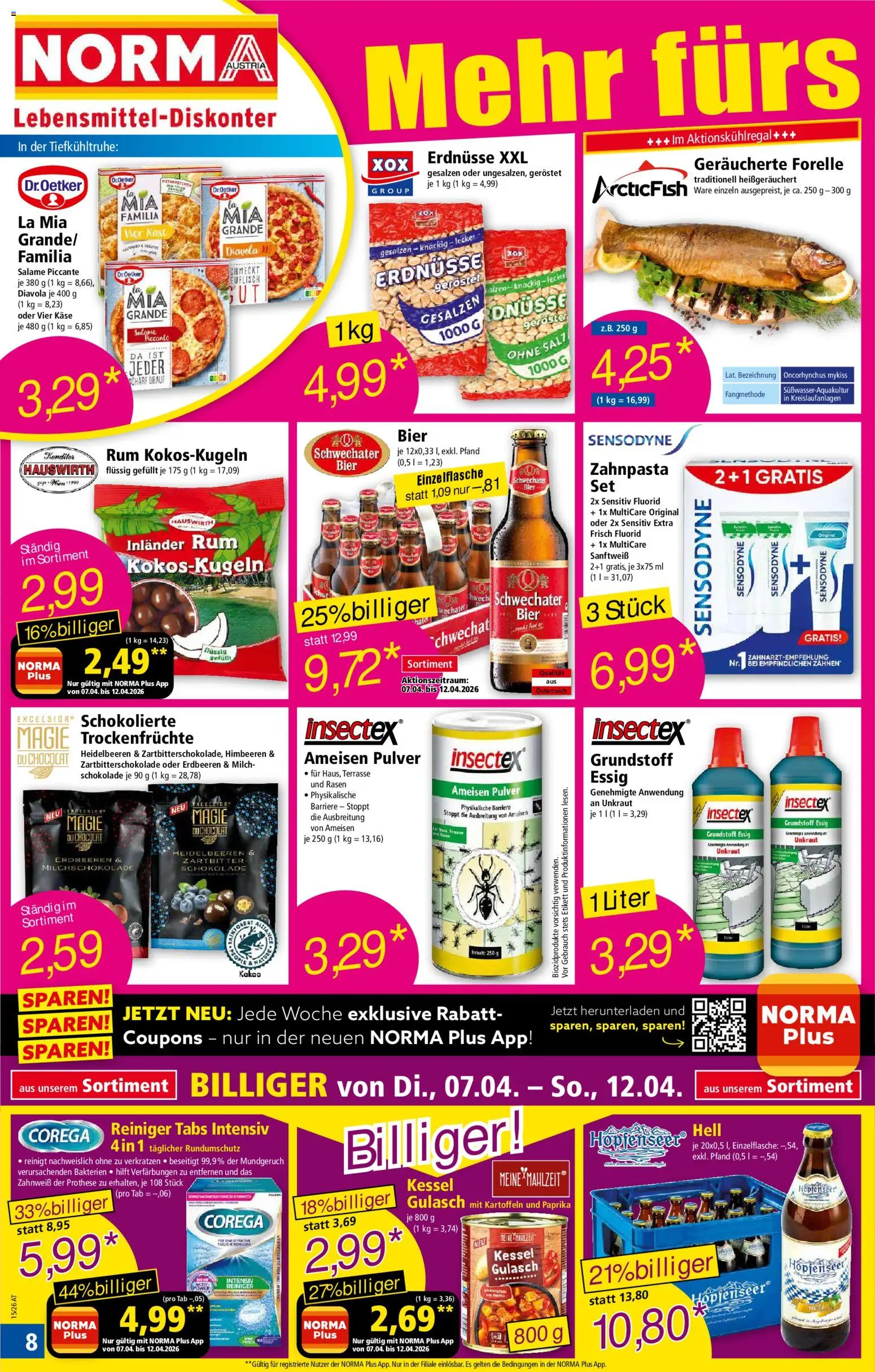 Norma Flugblatt gültig ab 07.04.2026 | Seite: 8 | Produkte: Erdbeeren, Папионка, Bier, Zahnpasta