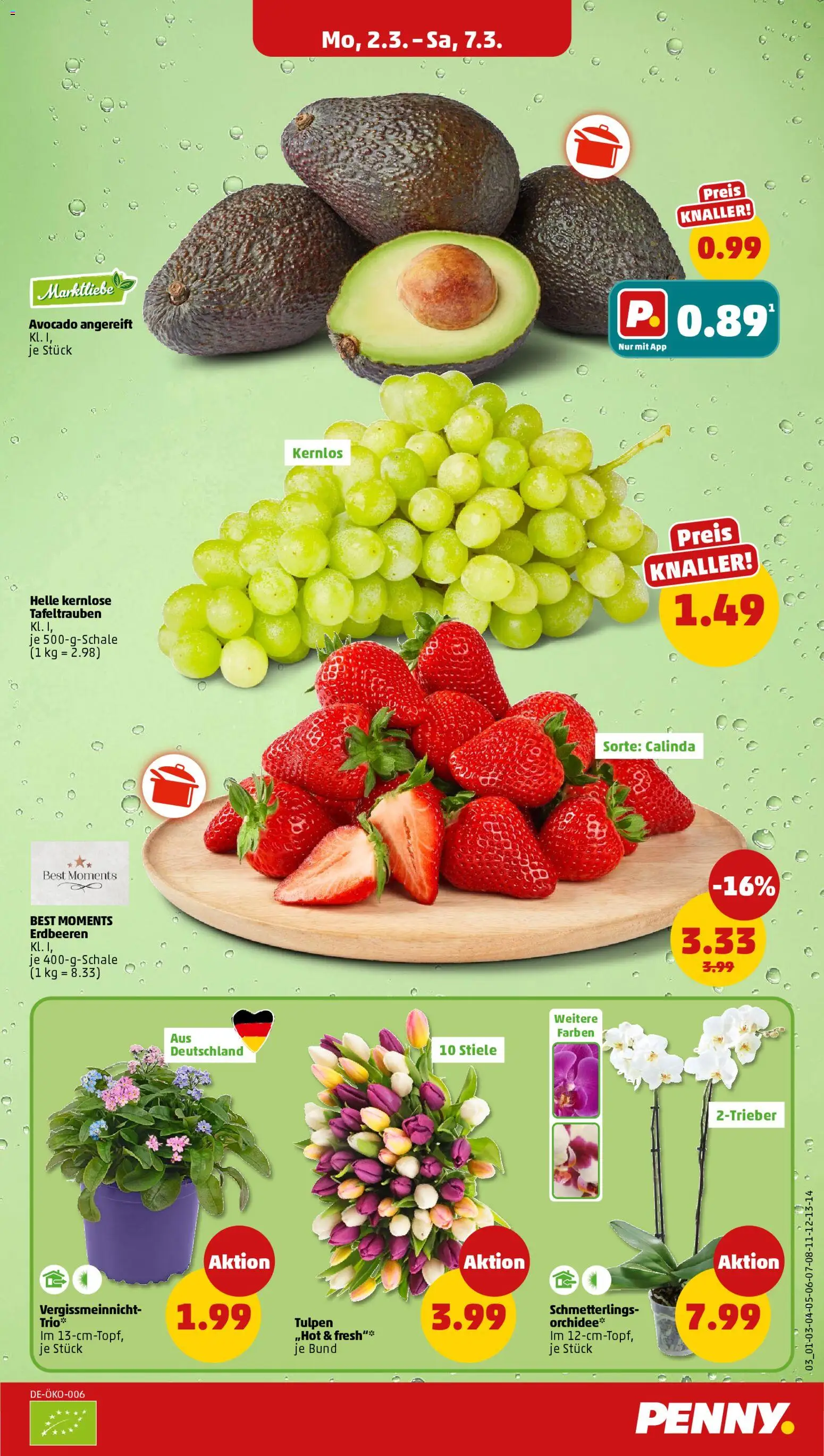 Penny Prospekt 	 – gültig ab 02.03.2026 | Seite: 5 | Produkte: Orchidee, Avocado, Erdbeeren
