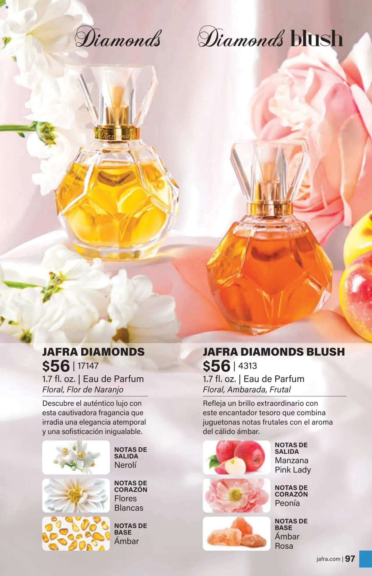 JAFRA folleto │ válido desde el 01.08.2025 | Página: 97 | Productos: Fragancia, Manzana, Eau de parfum
