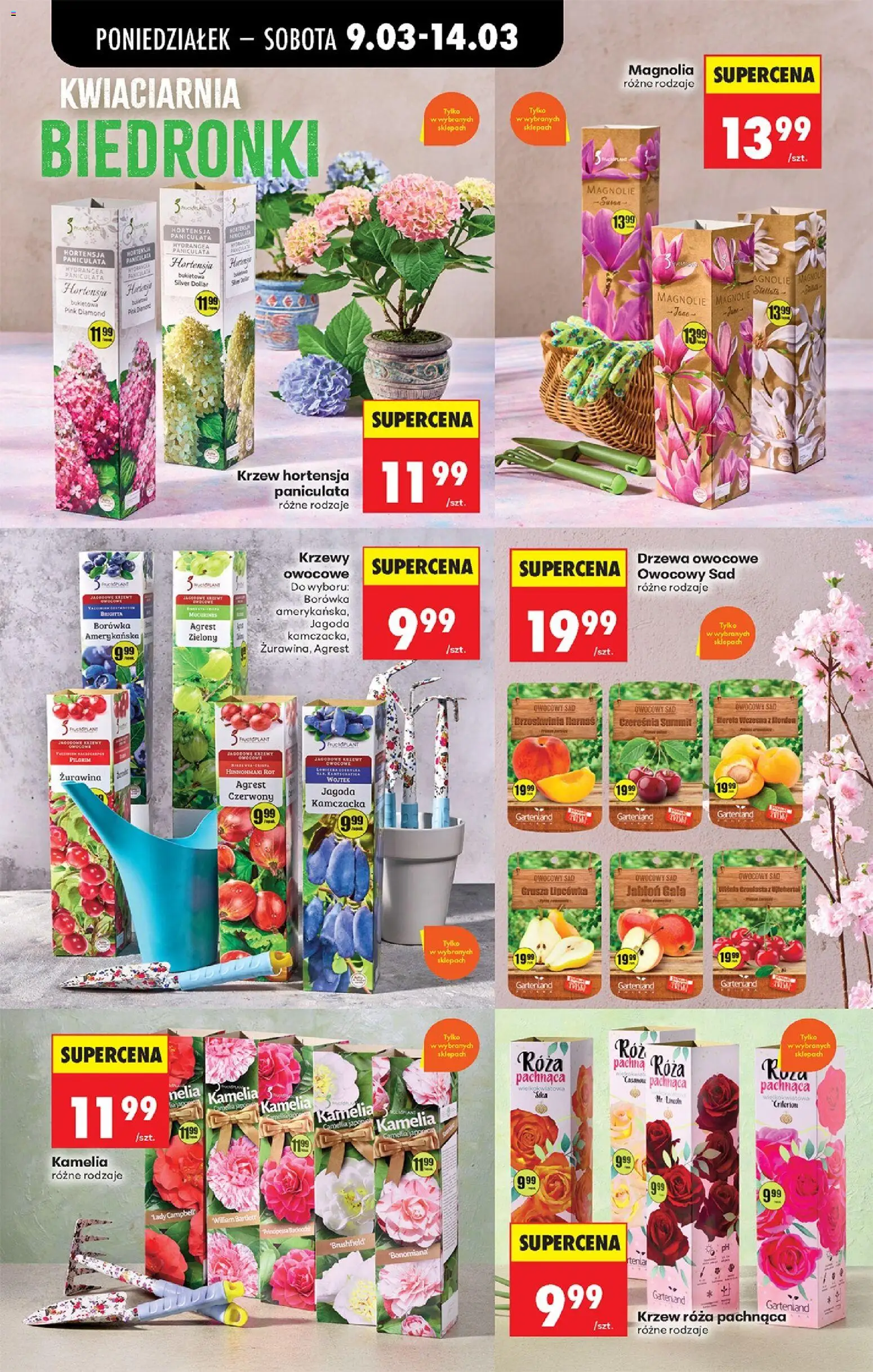 Biedronka Polsko leták od 09.03.2026 | Strana: 76 | Produkty: Husa