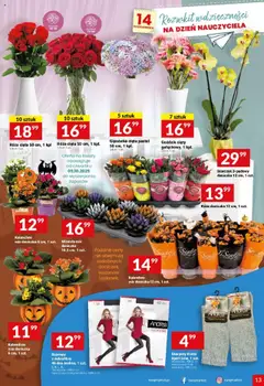 Pogląd oferty "Twój Market Gazetka" - ważna od 08.10.2025 | Strona: 13