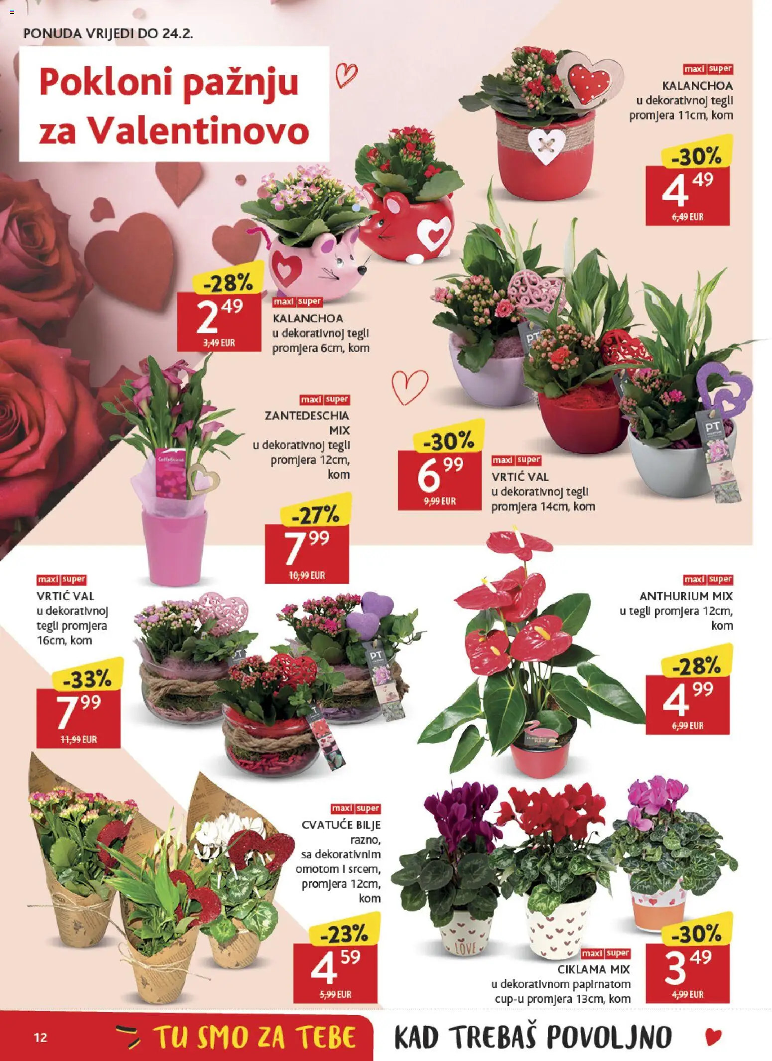Konzum katalog | vrijedi od 11.02.2026 | Stranica: 12