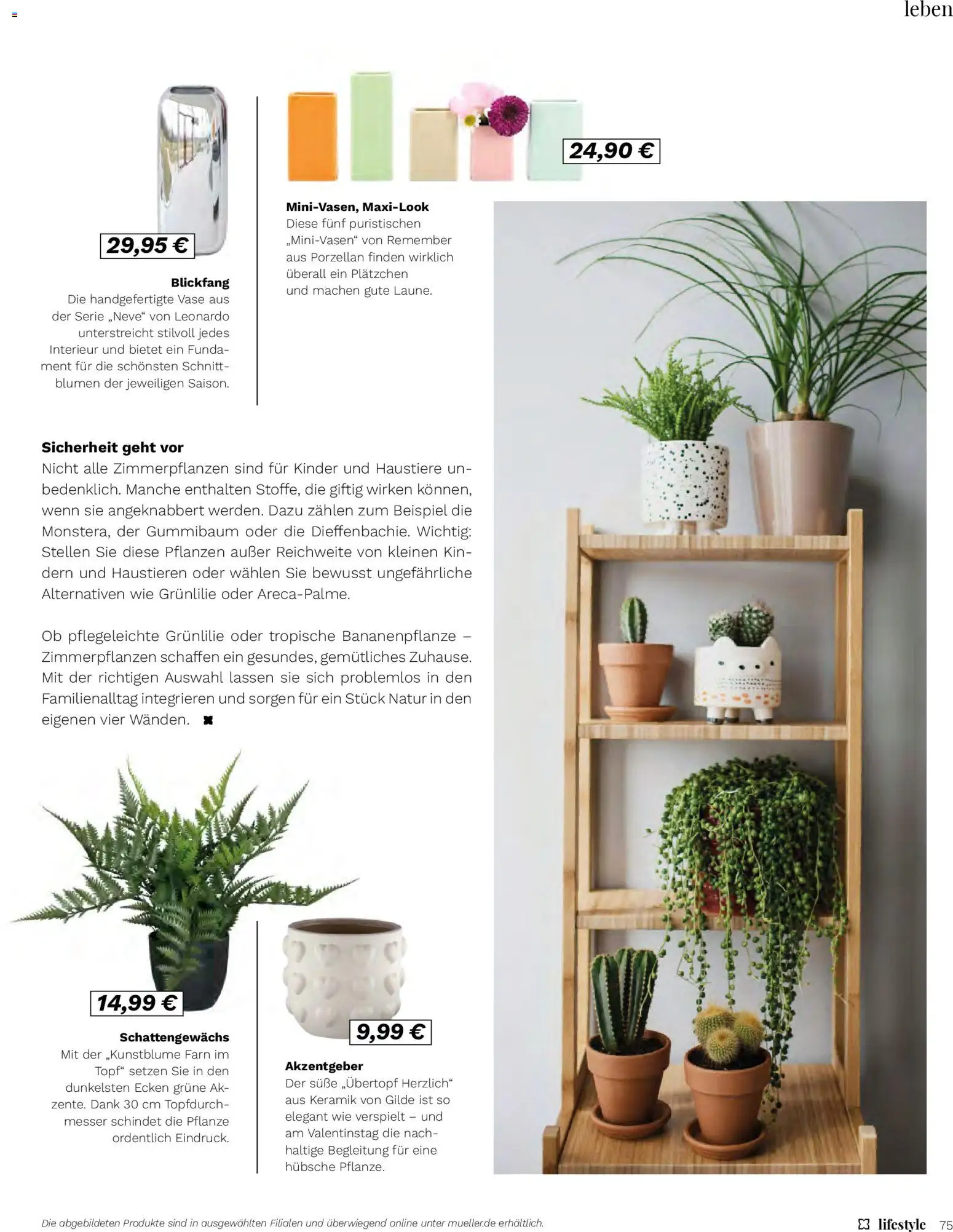 Müller - Lifestyle – gültig ab 01.01.2026 | Seite: 75 | Produkte: Blumen, Vase