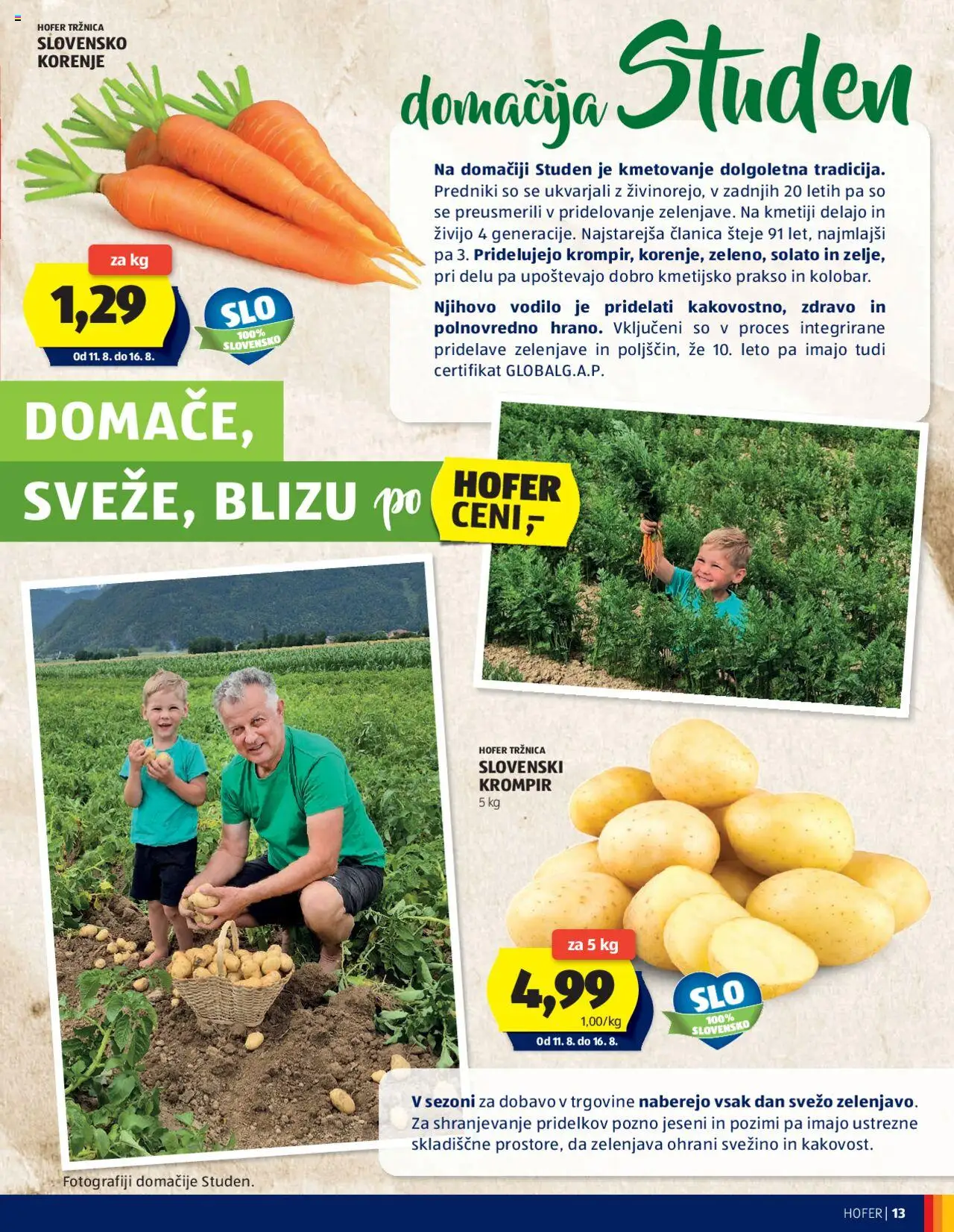 Hofer katalog │ velja od 07.08.2025 | Stran: 13 | Izdelki: Krompir, Zelenjava