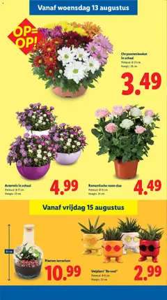  | Pagina: 17 | Producten: Schaal