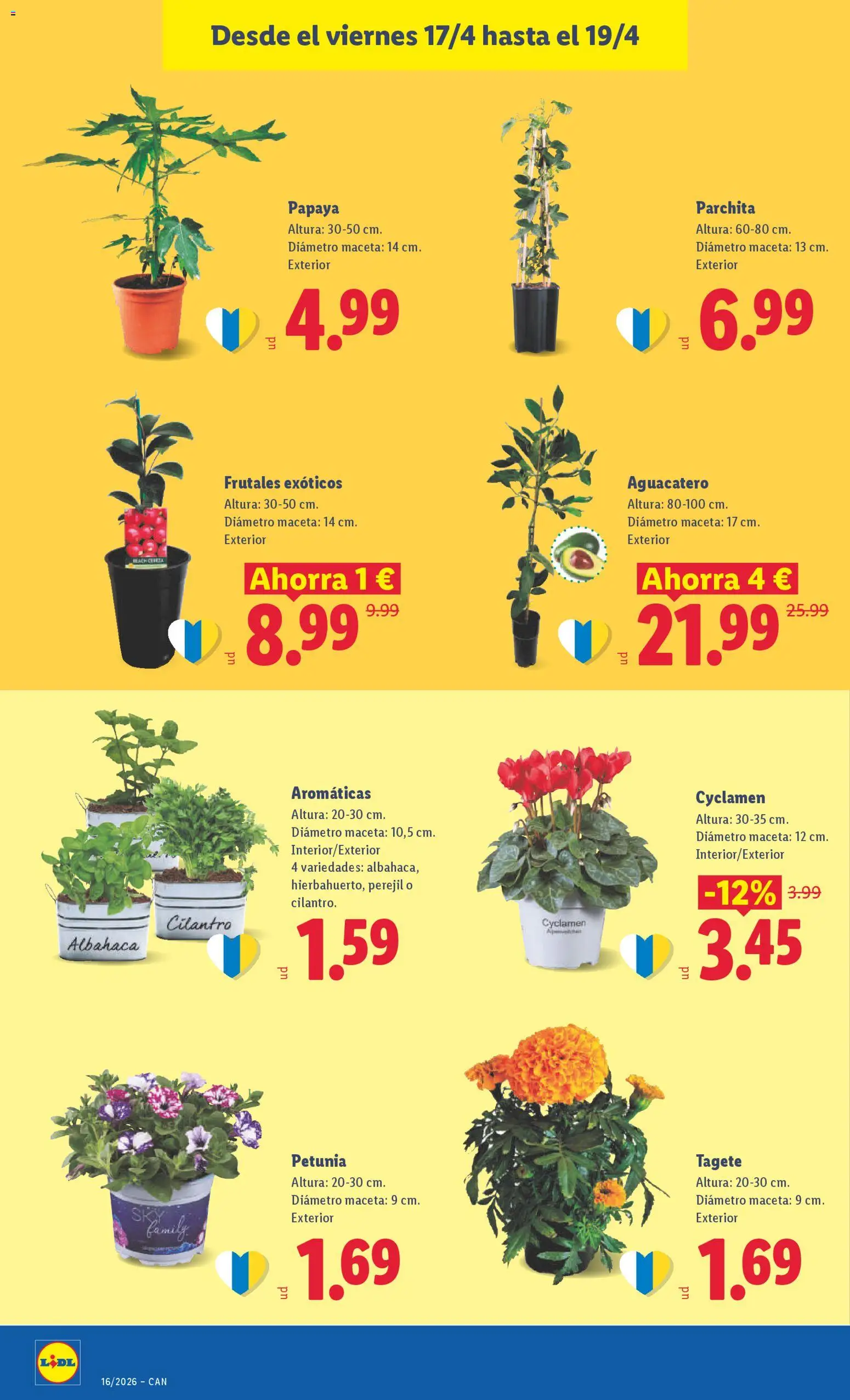 Lidl Canarias │ válido desde el 13.04.2026 | Página: 40 | Productos: Maceta