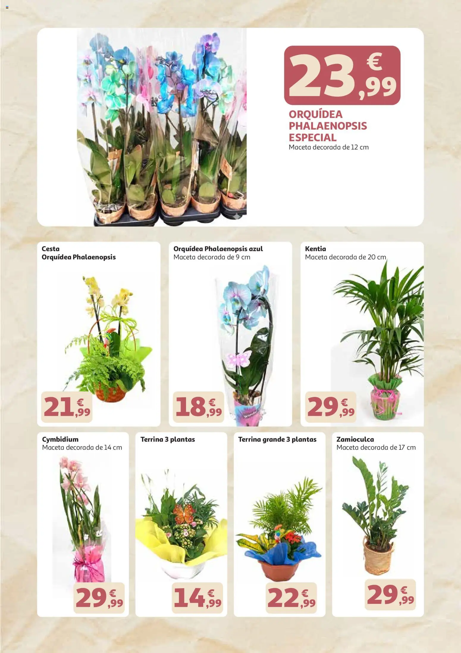 Alcampo - dia de la madre 2026 Canarias │ válido desde el 21.04.2026 | Página: 3 | Productos: Cesta, Maceta