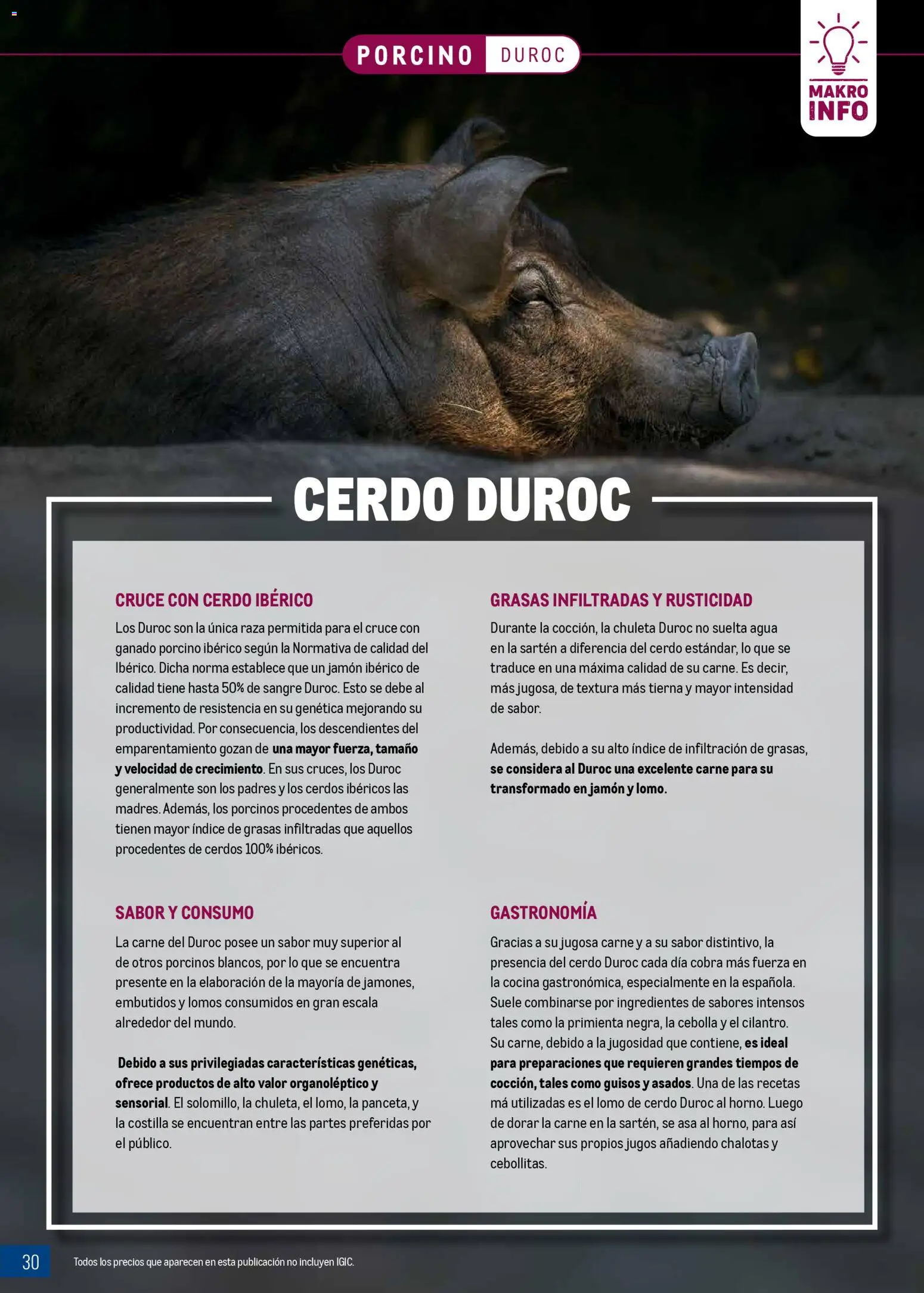 Makro - Expertos en carnes Canarias │ válido desde el 09.03.2026 | Página: 30 | Productos: Jamón ibérico, Cerdo, Παγωμένο τσάι, Cocina