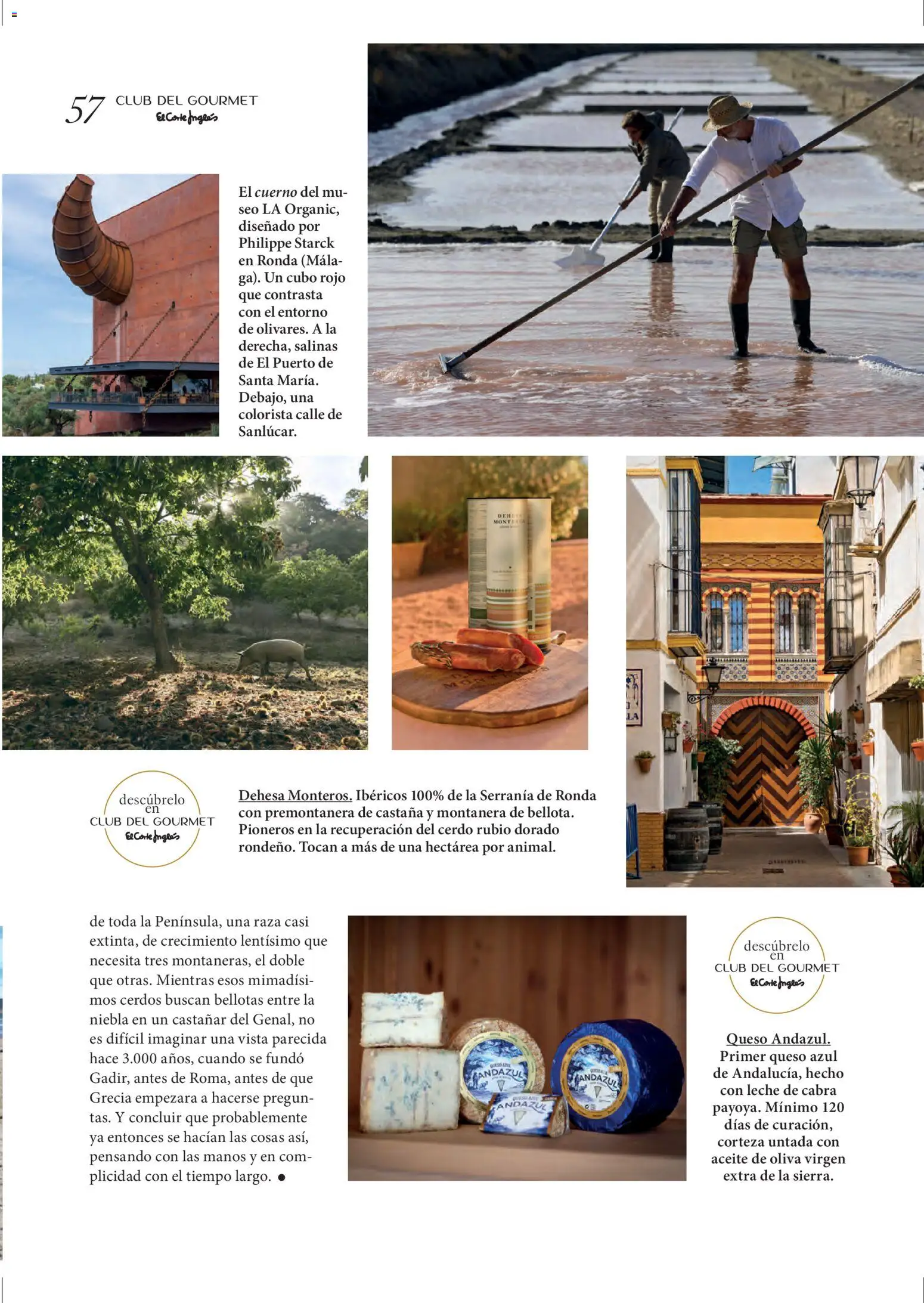 El Corte Inglés ofertas │ válido desde el 01.04.2026 | Página: 57