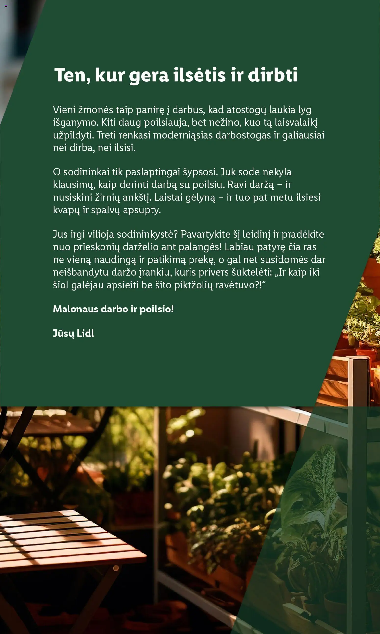 LIDL akcijos nuo 30.03.2026 | Puslapis: 2