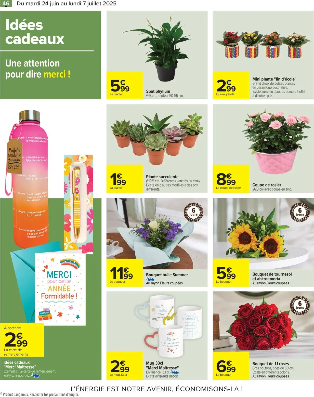  | Page: 48 | Produits: Rosier, Plantes, Gourde, Poisson