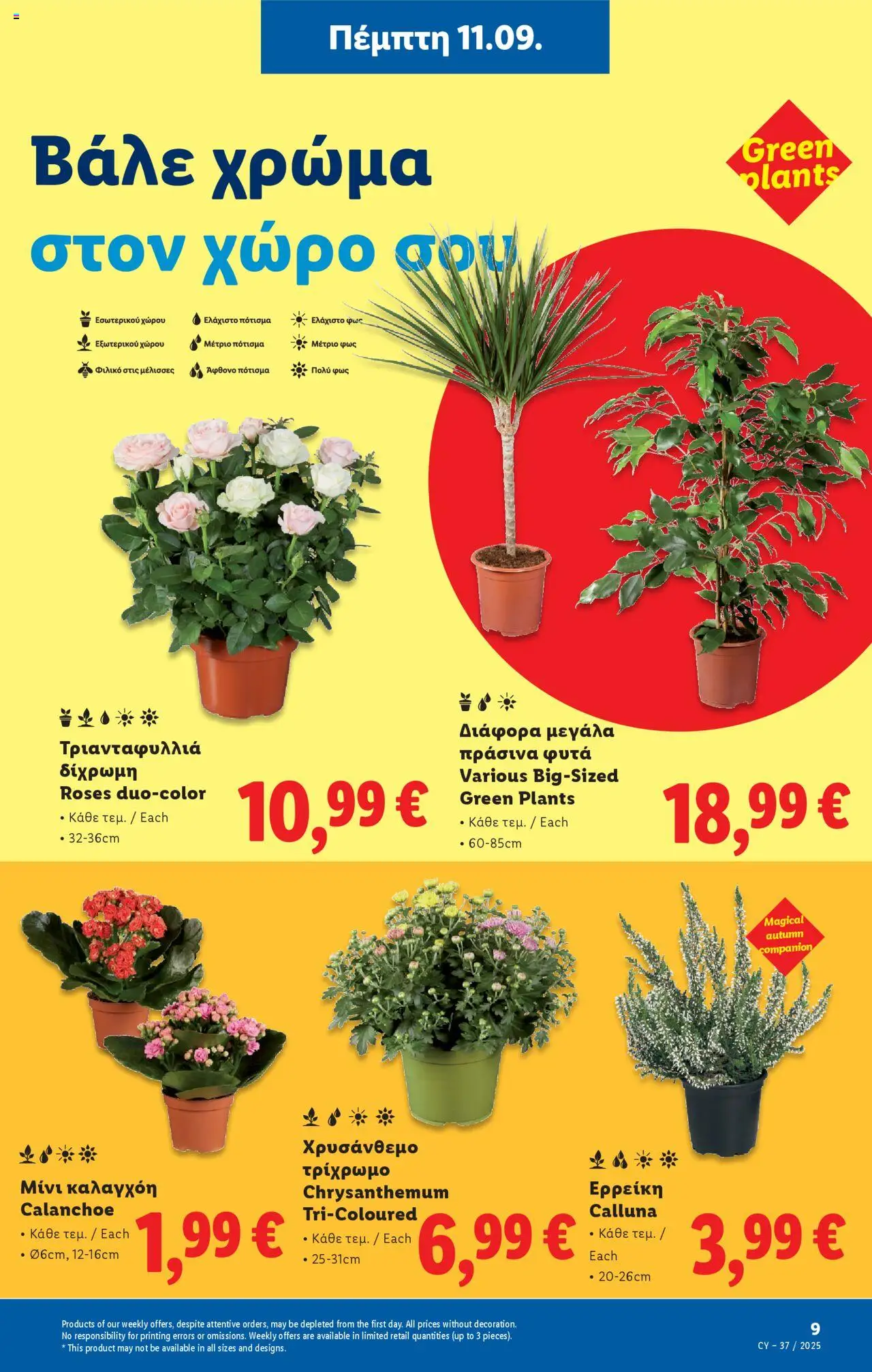 Lidl Φυλλάδιο – σε ισχύ από 11.09.2025 | Σελίδα: 41