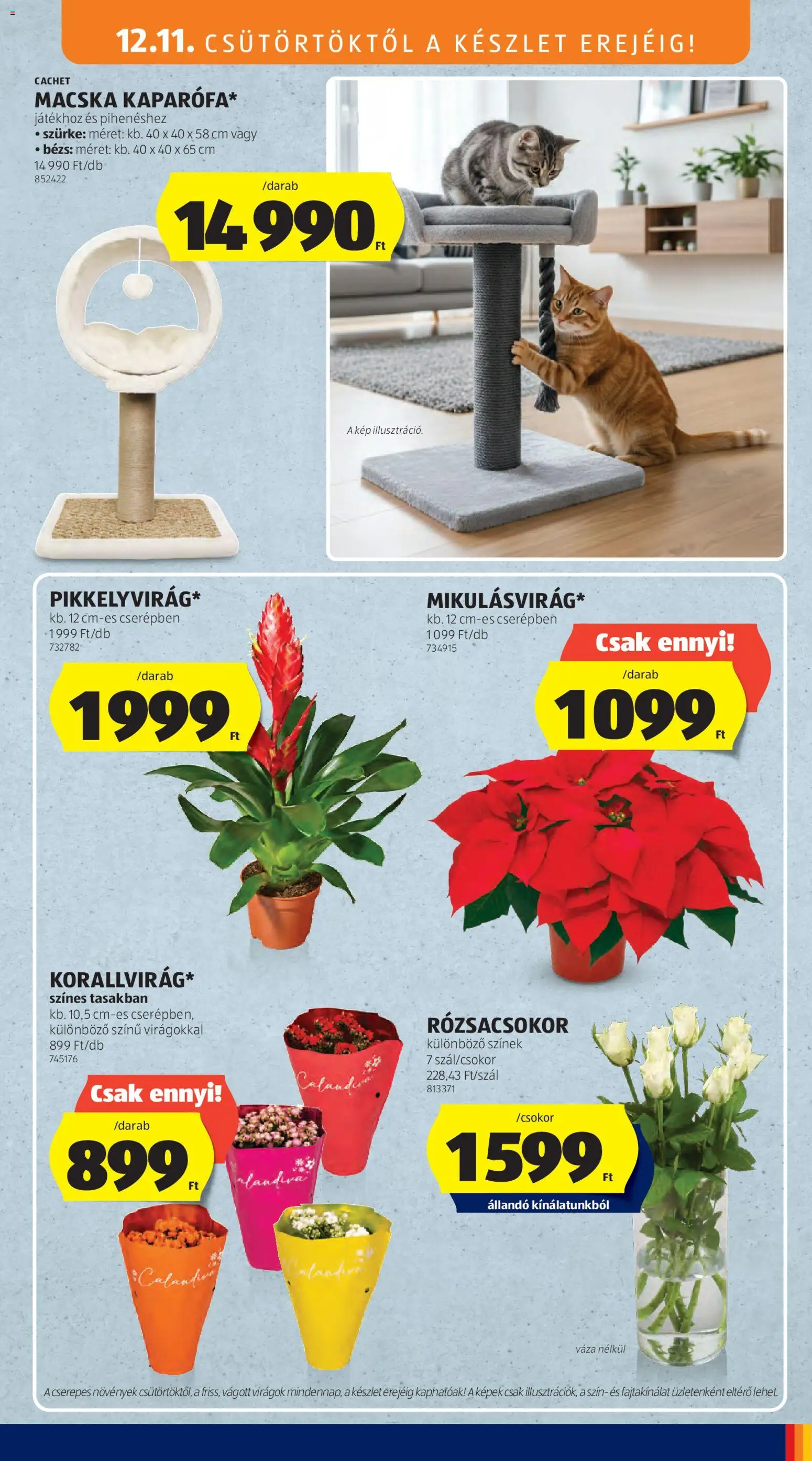 Aldi akciós ujság - amely érvényes a következő dátumtól: 11.12.2025 | Oldal: 37 | Termékek: Virágok, Váza