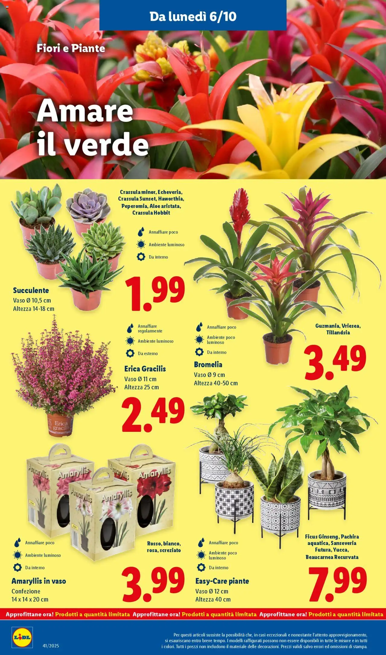 Volantino Lidl del 06.10.2025 | Pagina: 44 | Prodotti: Vaso