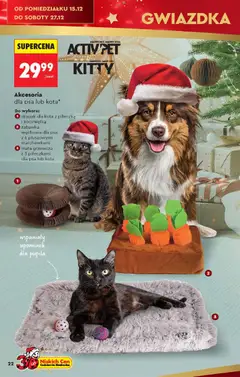 Pogląd oferty "Biedronka gazetka - Hity i inspiracje" - ważna od 13.12.2025 | Strona: 22