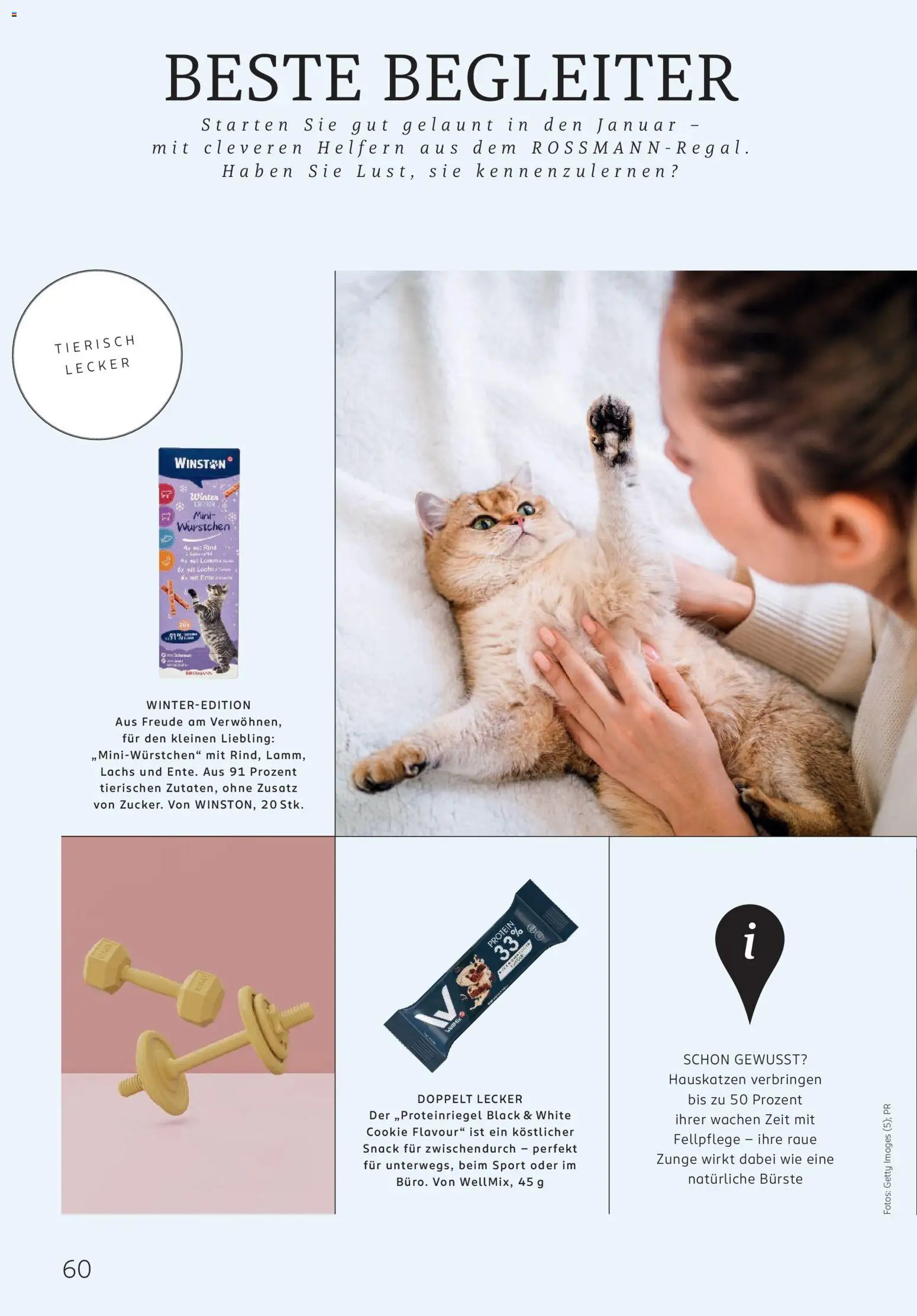 Rossmann Centaur – gültig ab 01.01.2026 | Seite: 60 | Produkte: Bürste, Lachs