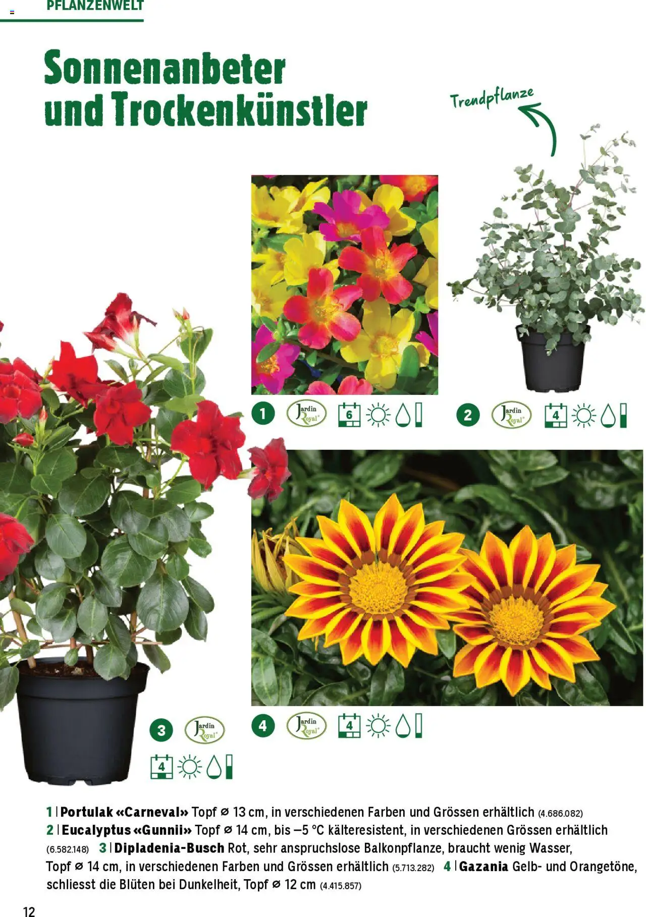 Jumbo Aktionen Dein Garten 2025 ab 21.02.2025 | Seite: 12