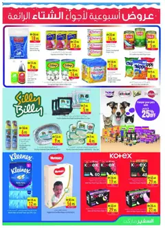 Preview of Safeermarket - Offers valid from 04.12.2025 | Page: 9