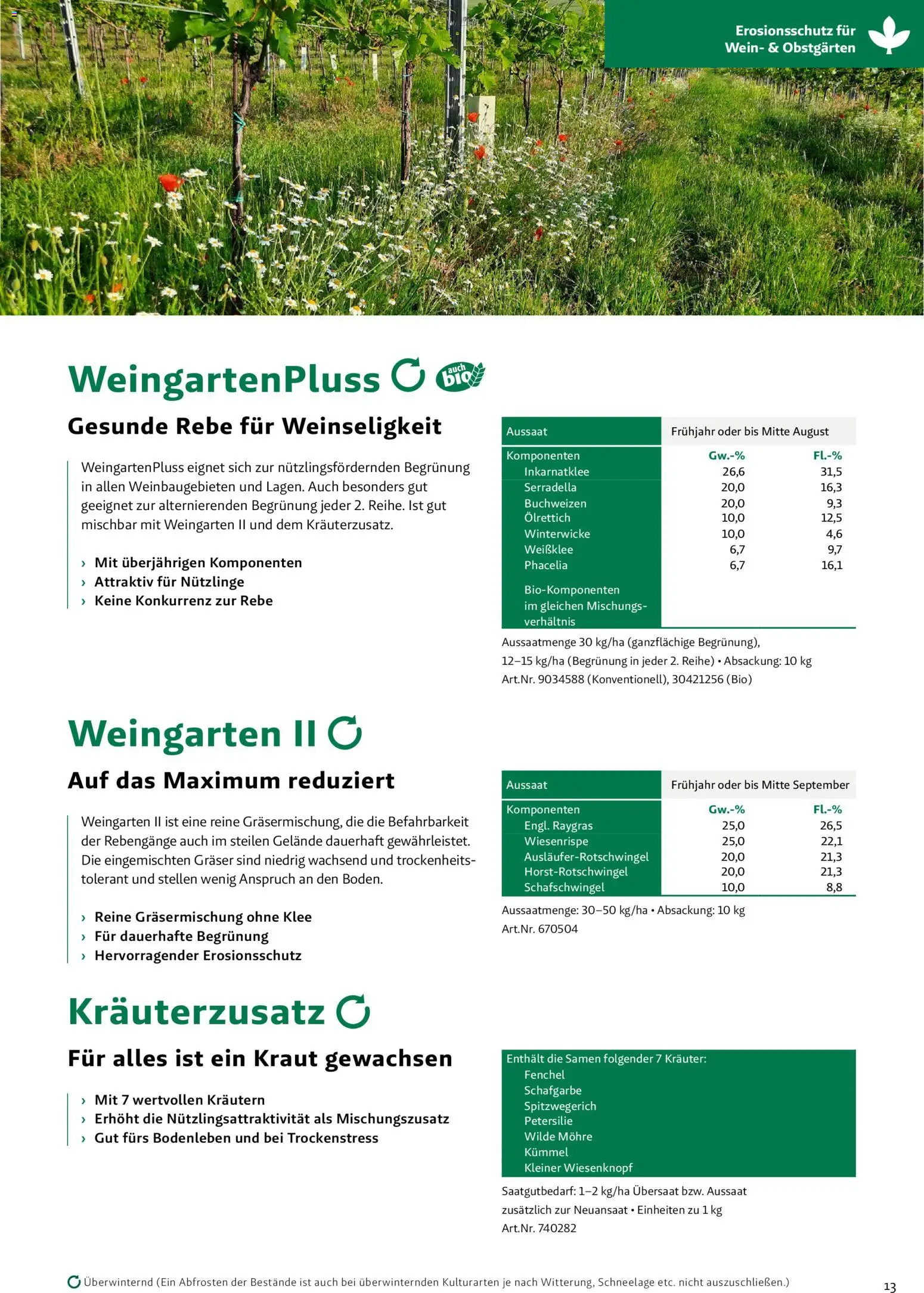 Lagerhaus Zwischenfrüchte und Begrünungen 2026 gültig ab 26.03.2026 | Seite: 13 | Produkte: Kraut, Petersilie, Wein
