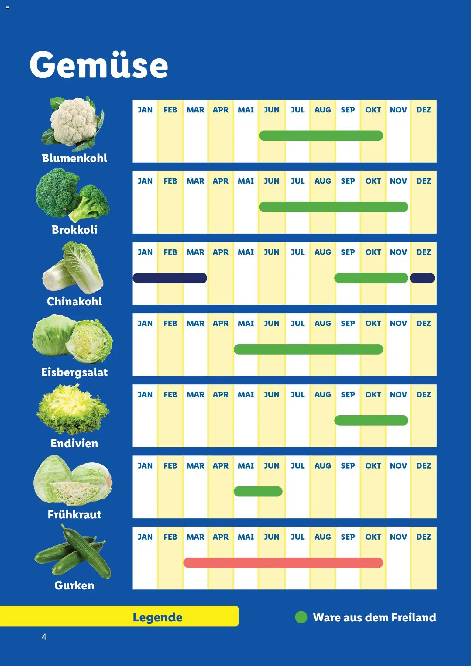 Lidl  Saisonkalender - Obst und Gemüse gültig ab 01.01.2026 | Seite: 4 | Produkte: Gurken, Gemüse, Chinakohl, Blumenkohl