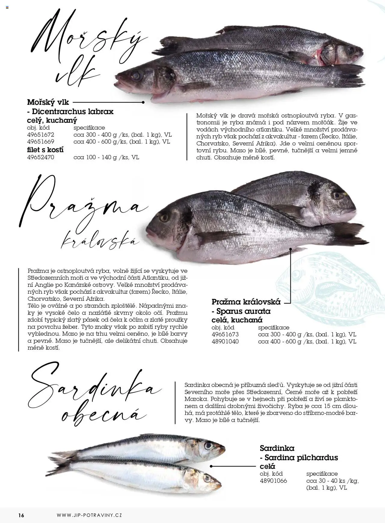 Jip katalog ryby 2024/25 od 30.12.2024 | Strana: 16 | Produkty: Ryby, Filet, Maso, Barvy