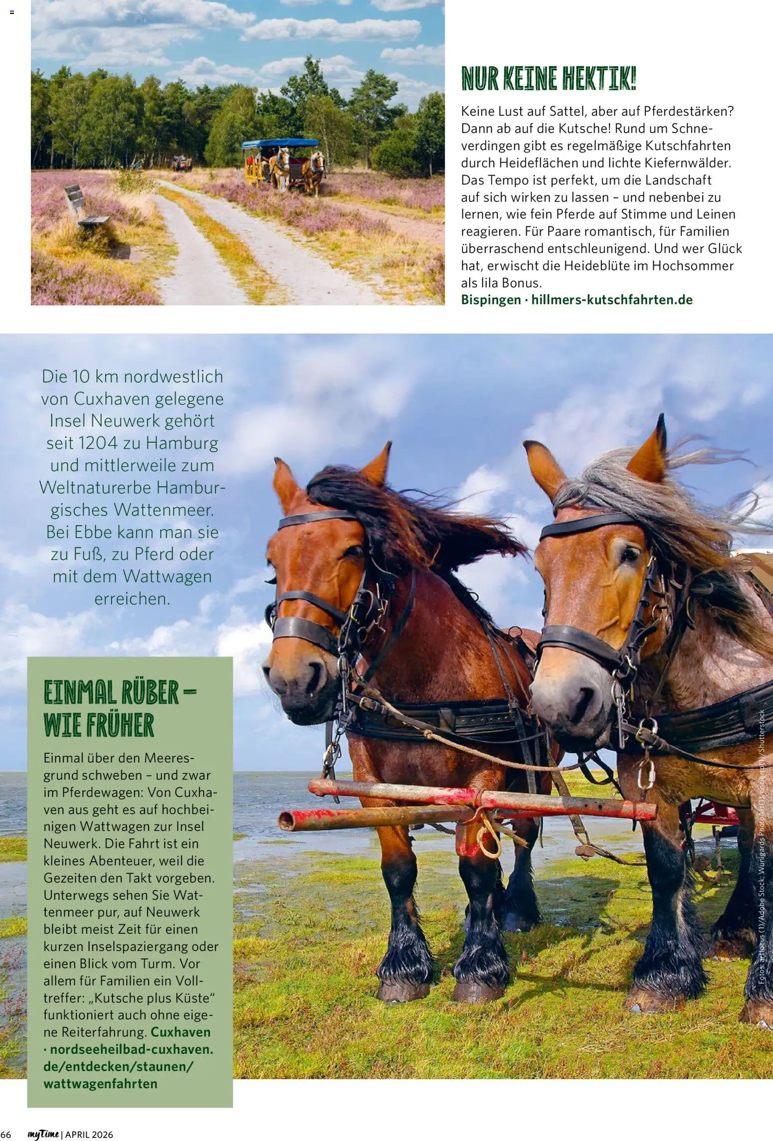 Combi myTime April 2026 – gültig ab 01.04.2026 | Seite: 66 | Produkte: Tempo