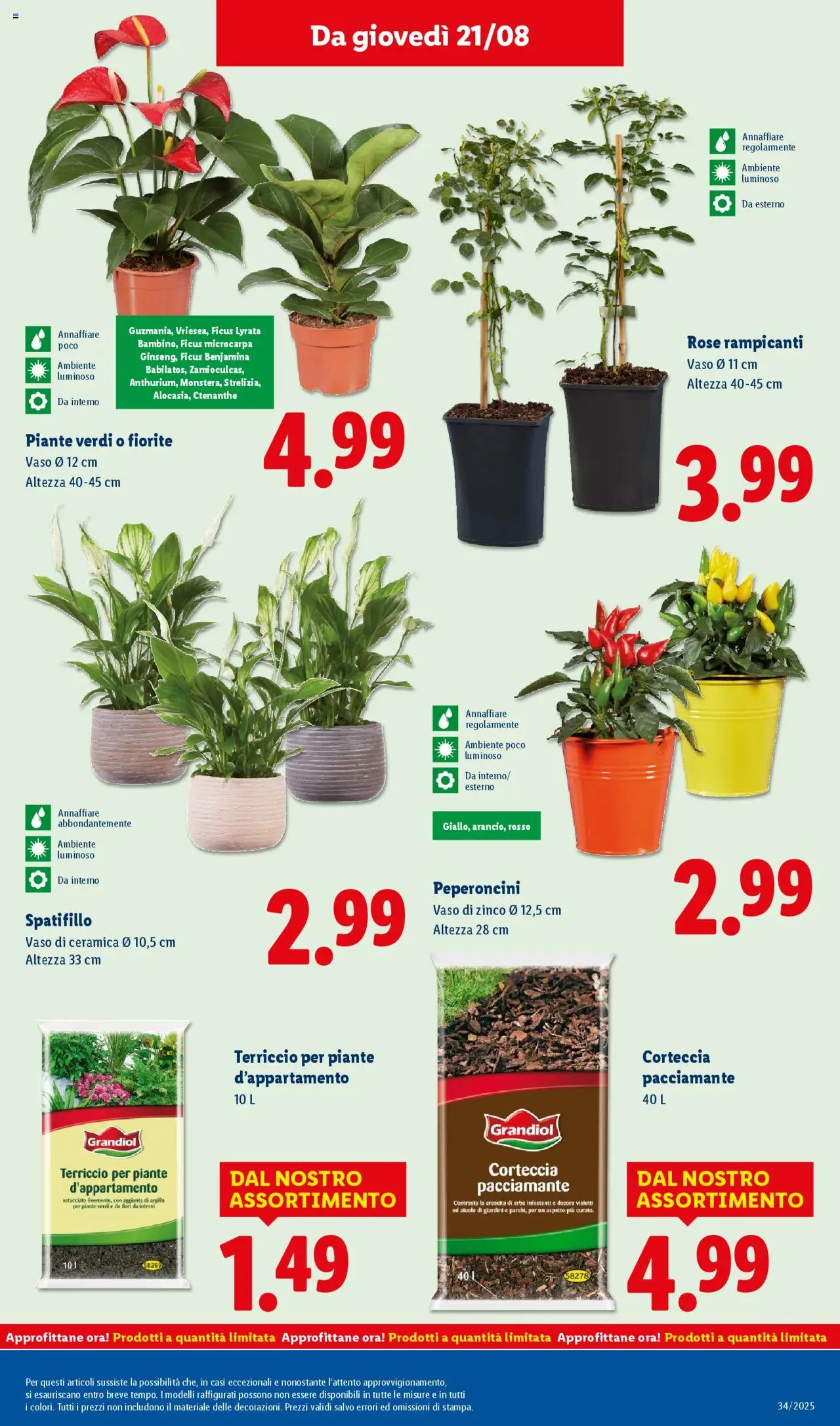 Volantino Lidl del 18.08.2025 | Pagina: 37 | Prodotti: Terriccio, Vaso