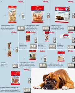 Harald Nyborg - Kæledyr gyldig fra 22.06.2024 | Side: 2 | Produkter: Spaghetti