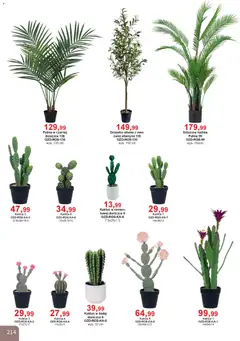 Pogląd oferty "Bodzio Katalog" - ważna od 01.01.2026 | Strona: 214