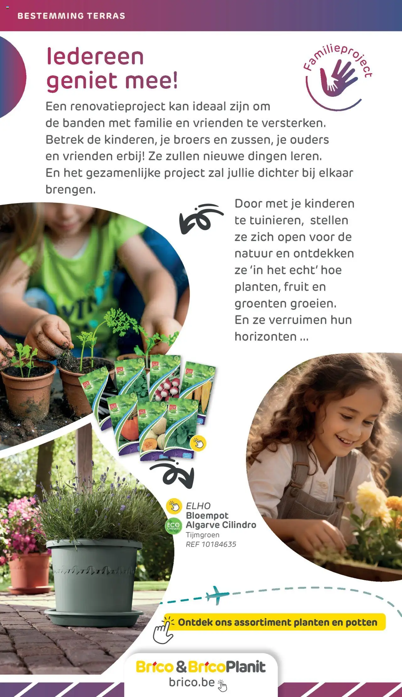  | Pagina: 16 | Producten: Fruit, Groenten, Kan