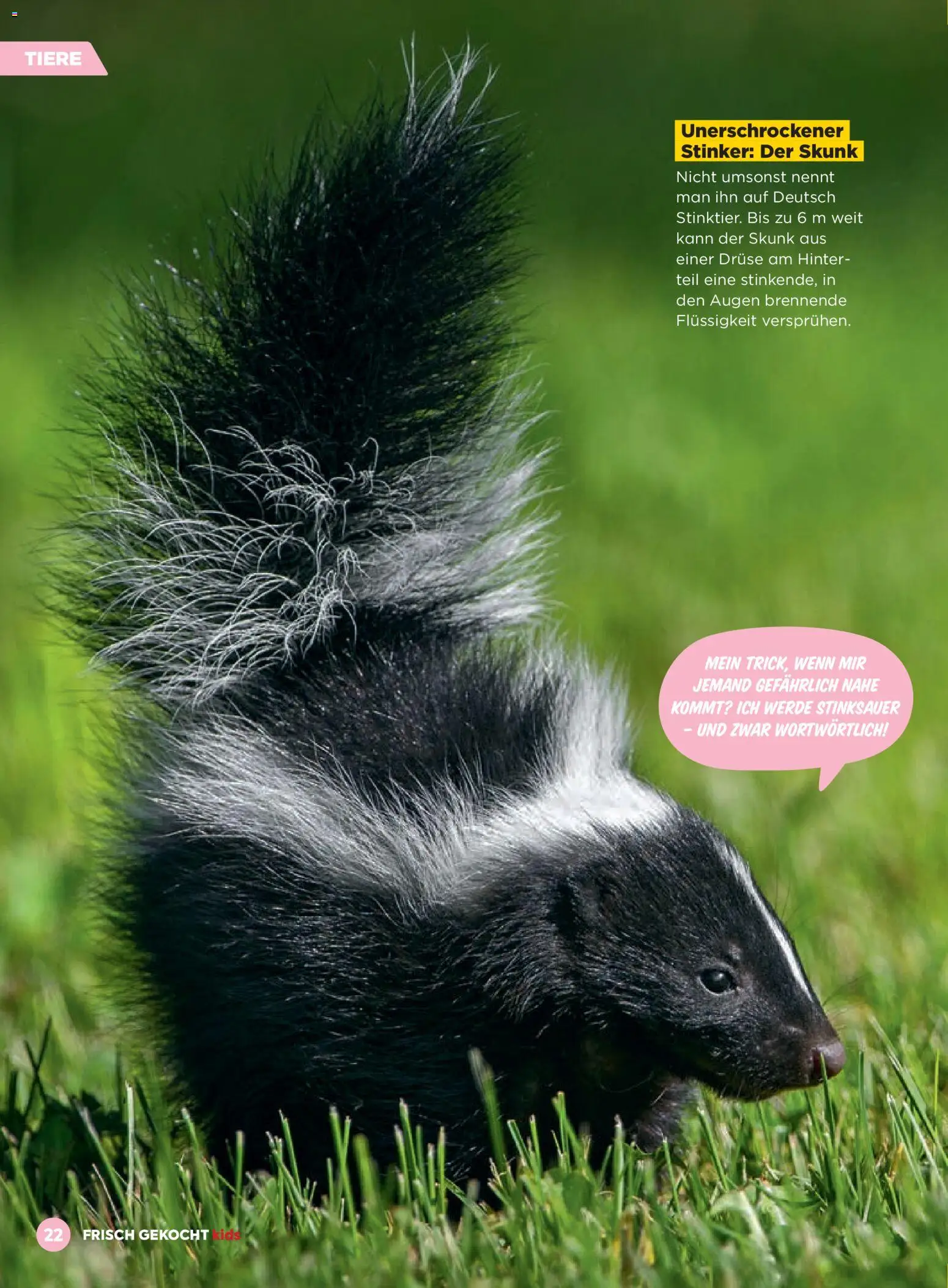 Billa Frisch Gekocht Kids gültig ab 01.03.2026 | Seite: 22