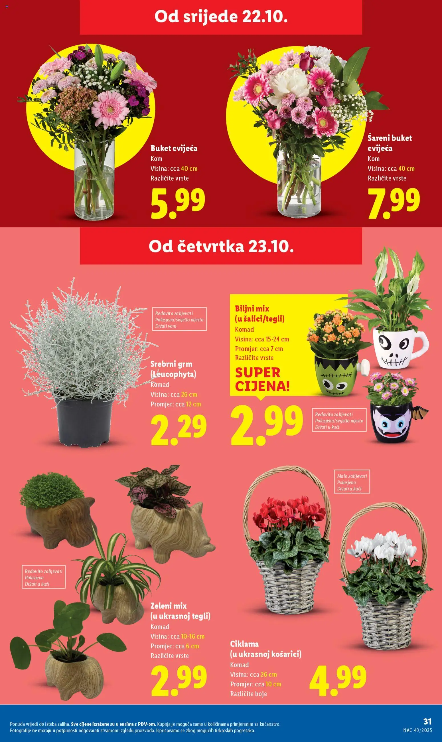 Lidl katalog | vrijedi od 23.10.2025 | Stranica: 31