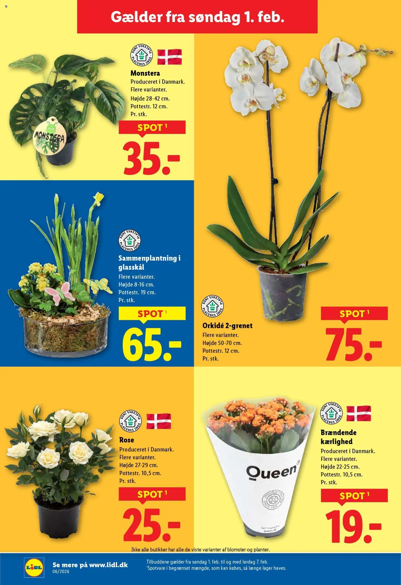 Lidl tilbudsavis – gyldig fra 01.02.2026 | Side: 40