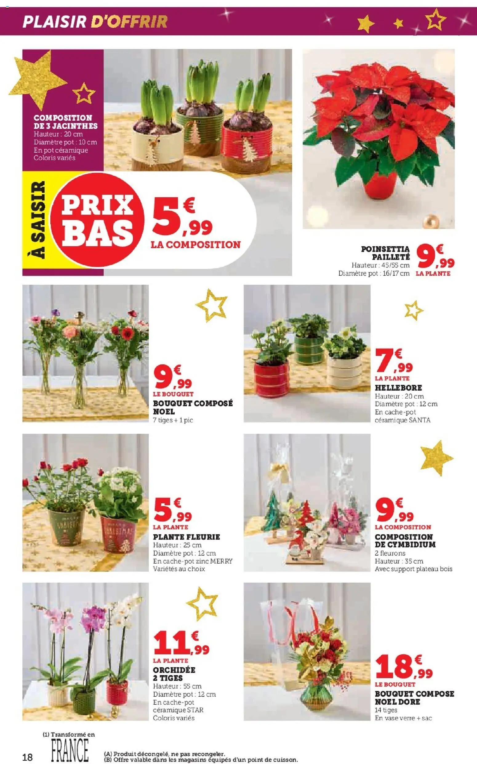 {H1} | Page: 18 | Produits: Poinsettia, Plateau, Orchidée, Vase